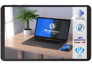 WORDPRESS website design and setup package