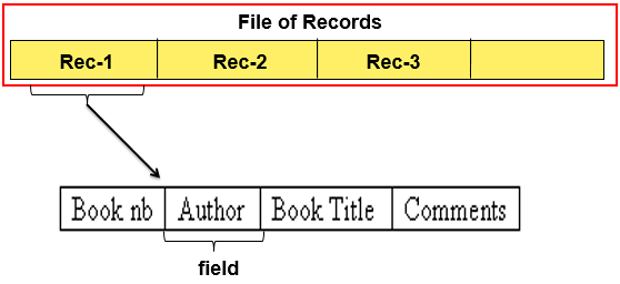 file of records and fields