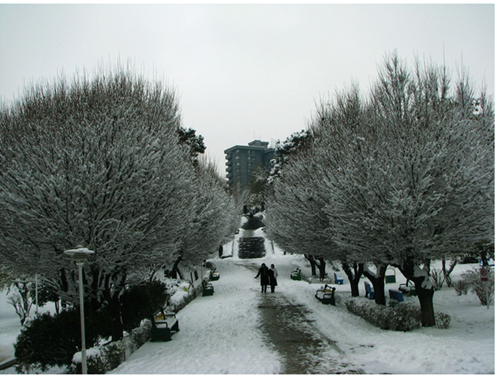 ۵ جای دیدنی تهران در زمستان ۱۴۰۴؛ از برج میلاد برفی تا پیست اسکی آبعلی